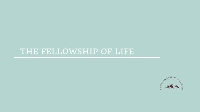 Thumbnail for Fellowship of life 2 Part B